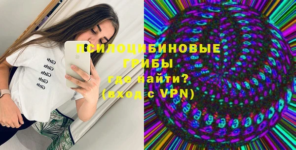 молекула духа Аркадак