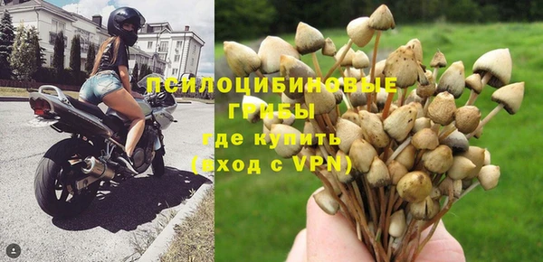 ешки Мегион