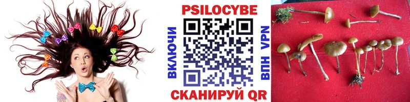 hydra как зайти  Покровск  Псилоцибиновые грибы Magic Shrooms 